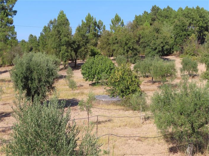 Image No.41-Property for sale