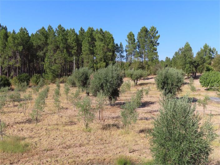 Image No.42-Property for sale