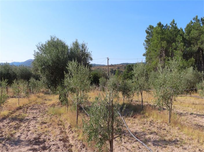 Image No.46-Property for sale