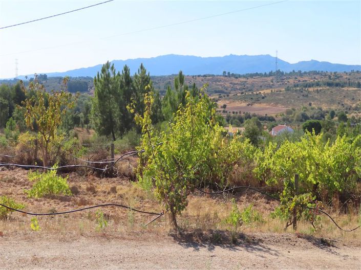 Image No.5-Property for sale