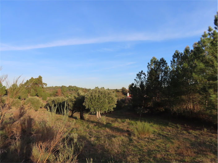 Image No.17-2 Bed Property for sale