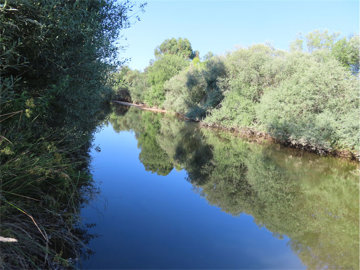 Properties in Portugal most sold property