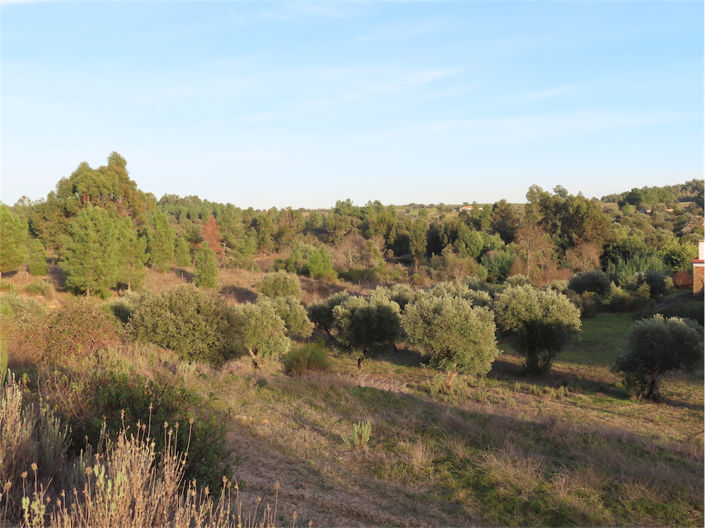 Image No.20-2 Bed Property for sale