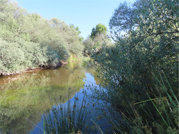 Image No.7-2 Bed Property for sale