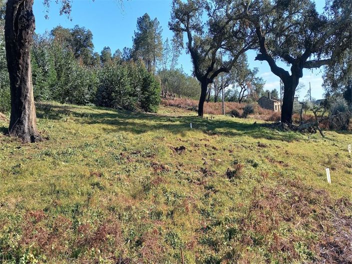 Castelo Branco, Property