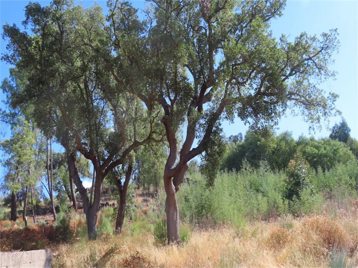 Image No.14-Property for sale