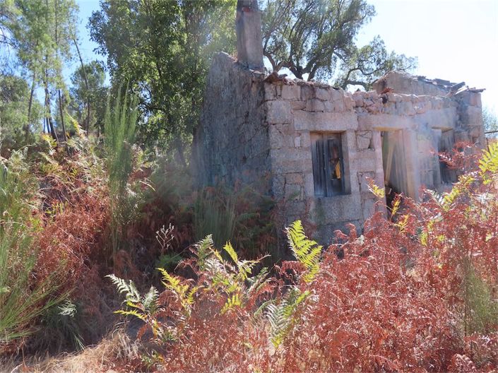 Image No.15-Property for sale