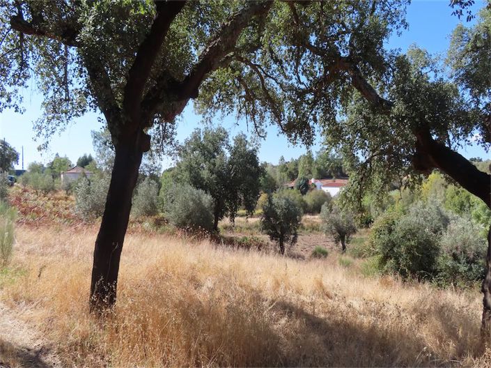 Image No.19-Property for sale