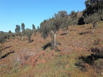 Properties in Portugal most sold property