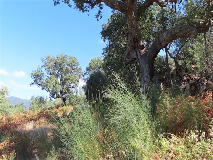 Image No.23-Property for sale