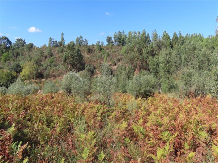 Image No.26-Property for sale