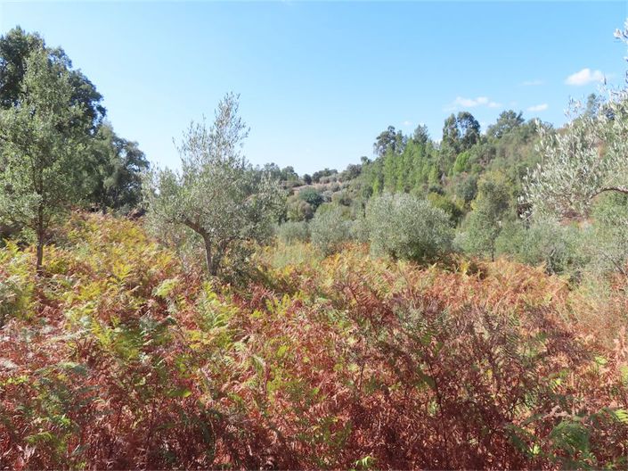 Image No.28-Property for sale