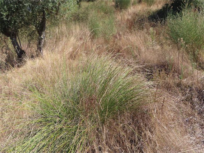 Image No.32-Property for sale