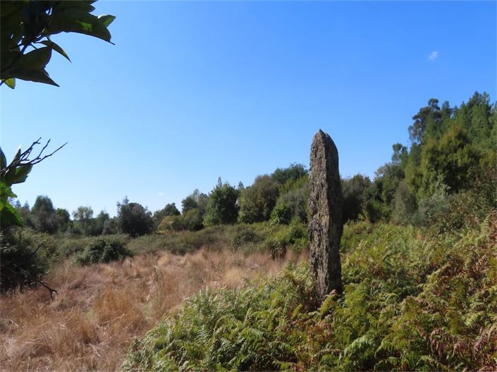 Image No.35-Property for sale