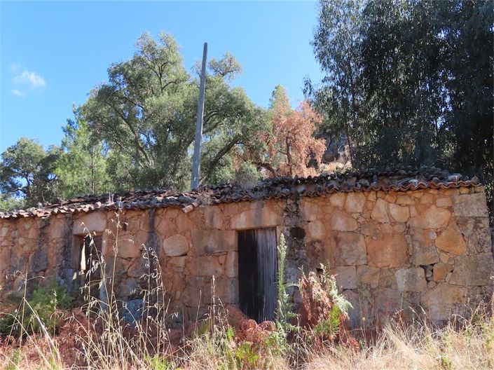 Image No.37-Property for sale