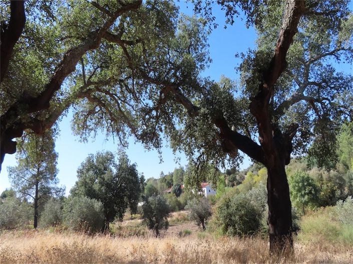 Image No.39-Property for sale