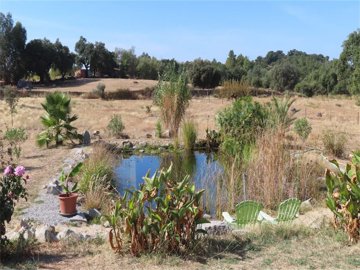 1 - Castelo Branco, Property