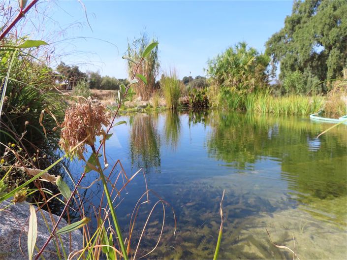 Image No.20-3 Bed Property for sale