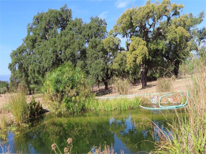 Image No.21-3 Bed Property for sale