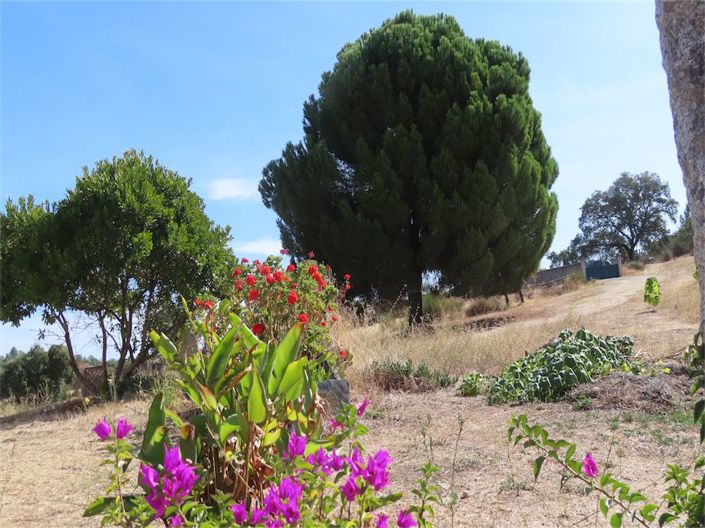 Image No.22-3 Bed Property for sale