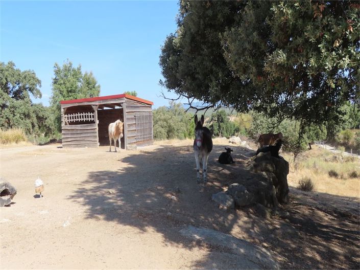 Image No.32-3 Bed Property for sale