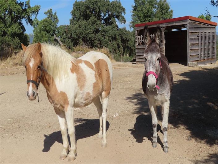 Image No.33-3 Bed Property for sale