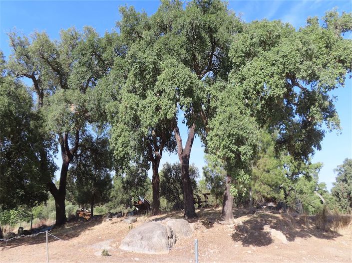 Image No.34-3 Bed Property for sale