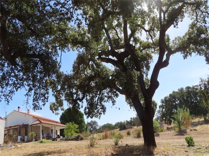 Image No.36-3 Bed Property for sale