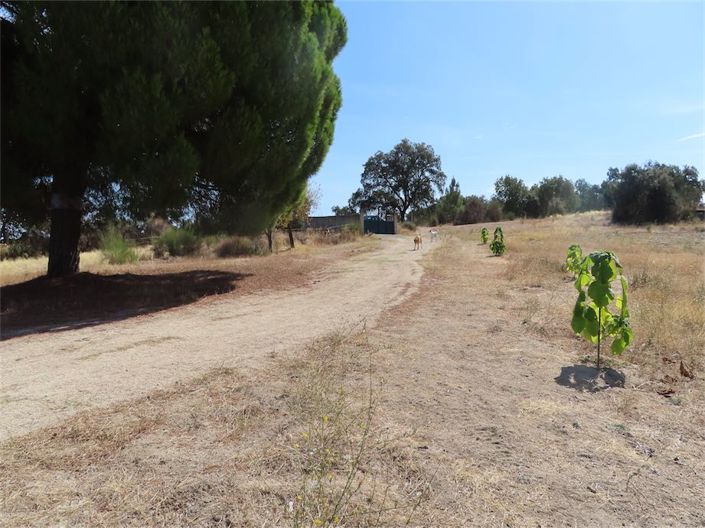 Image No.38-3 Bed Property for sale