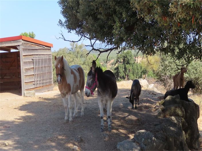 Image No.46-3 Bed Property for sale