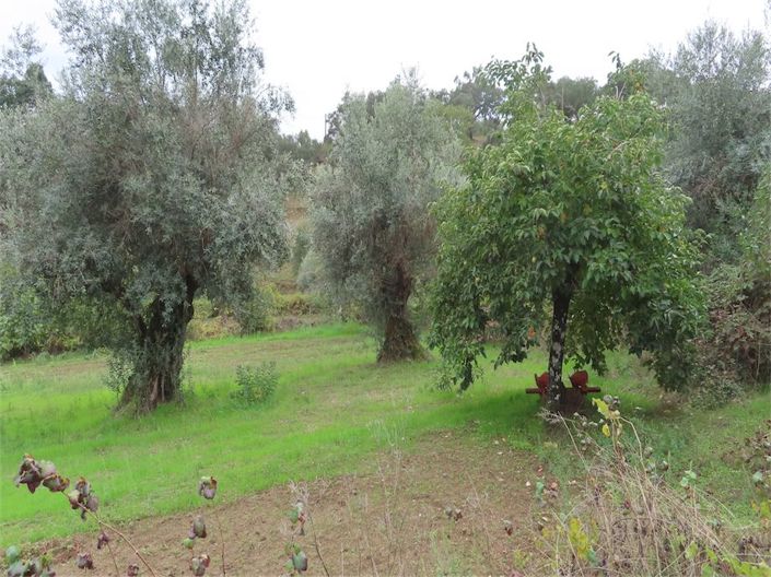 Image No.15-Property for sale