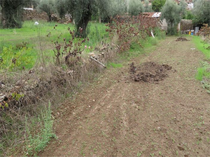 Image No.16-Property for sale