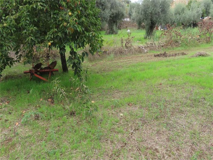 Image No.18-Property for sale