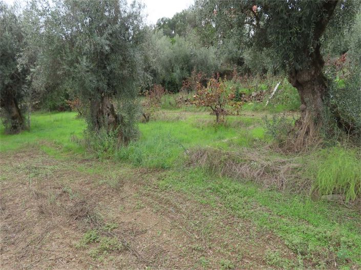 Image No.30-Property for sale