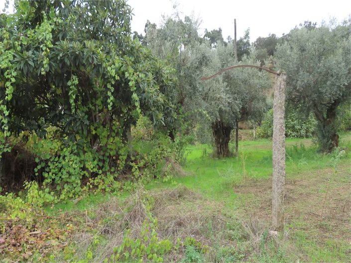 Image No.31-Property for sale