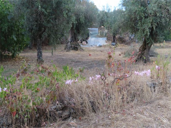 Image No.37-Property for sale