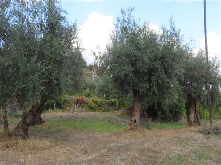 Image No.39-Property for sale