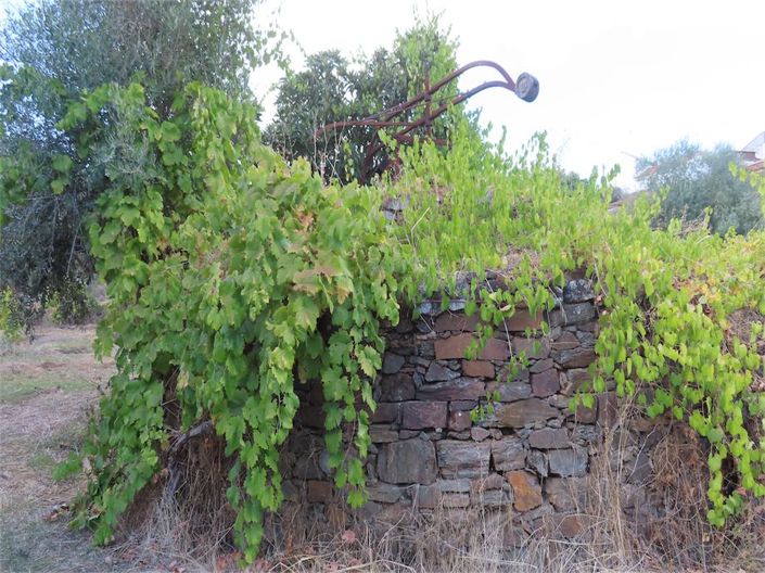 Image No.40-Property for sale