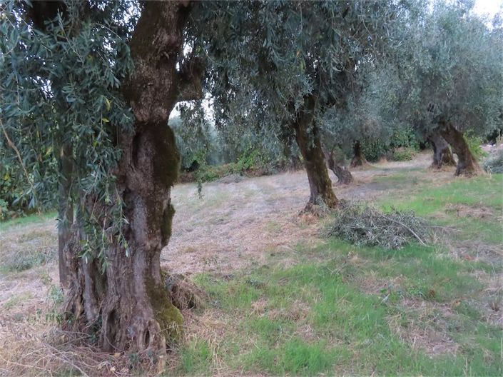 Image No.41-Property for sale