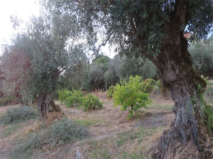 Image No.45-Property for sale