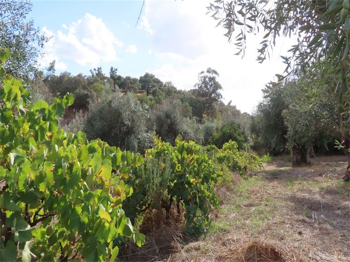 Image No.49-Property for sale