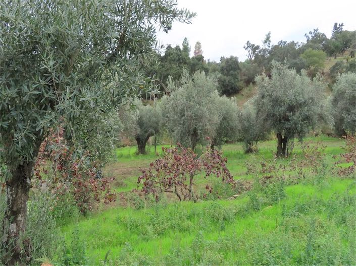 Image No.8-Property for sale