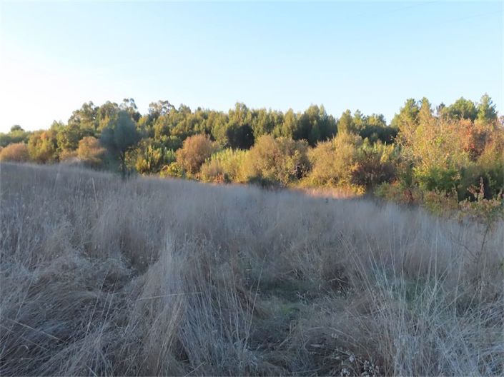 Image No.11-Property for sale