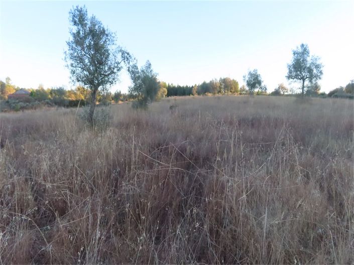 Image No.18-Property for sale