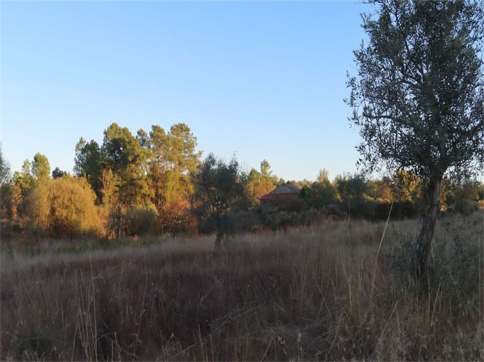 Image No.19-Property for sale