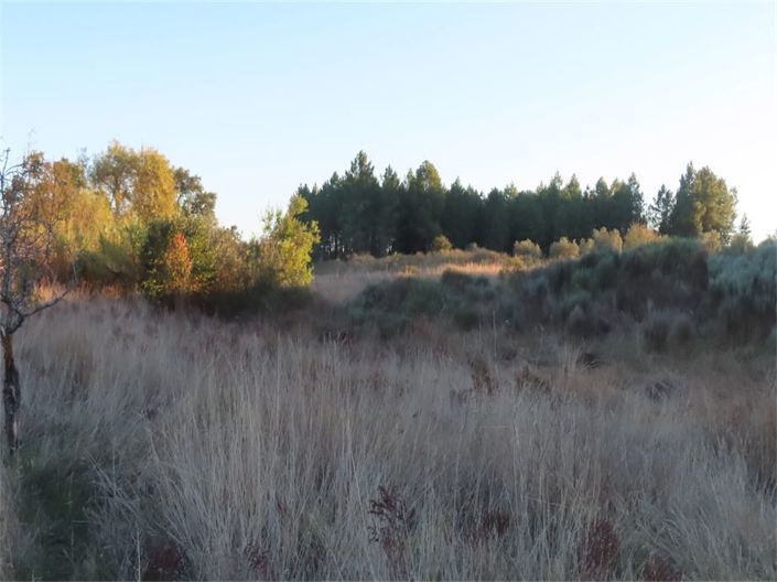 Image No.21-Propriété à vendre à Castelo Branco