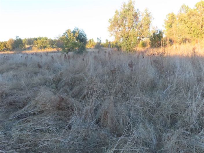 Image No.29-Property for sale