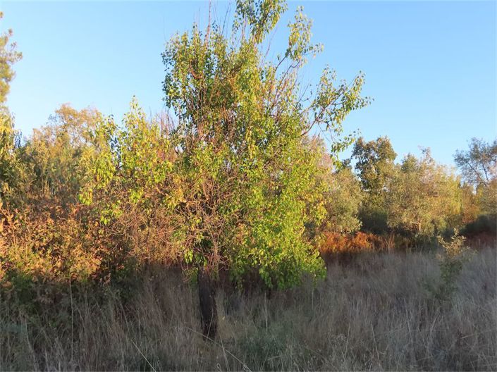 Image No.30-Property for sale