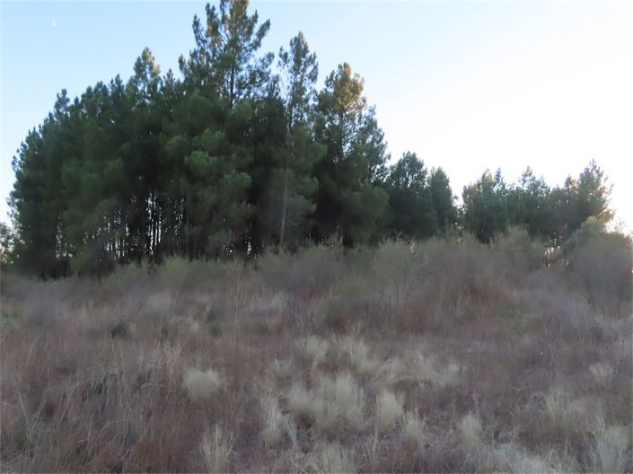 Image No.33-Property for sale