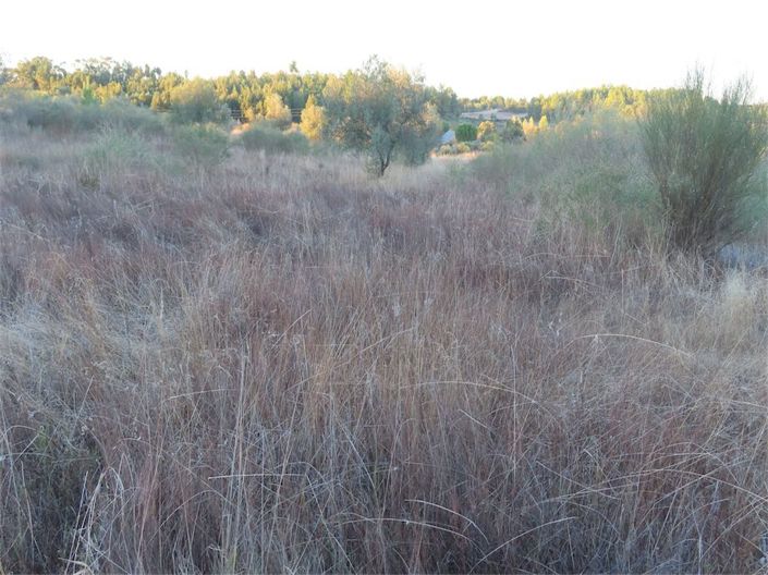 Image No.34-Property for sale